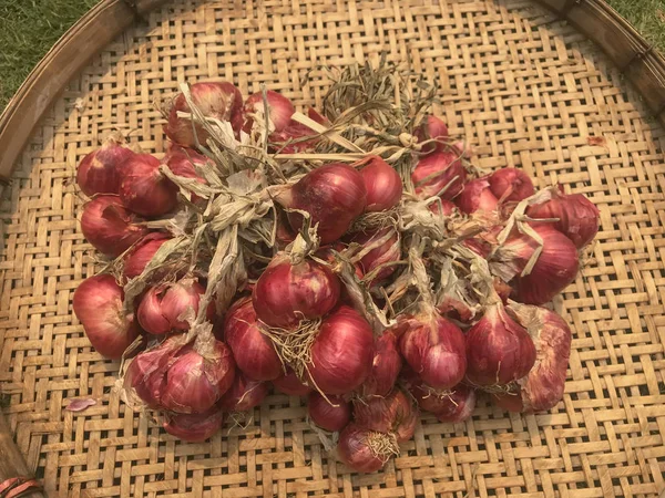 Přírodní Organická Cibule Bambusových Tkaných Destičce — Stock fotografie