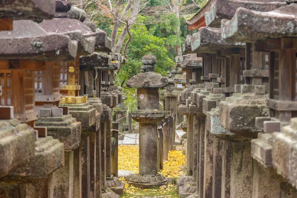 Viejas Filas Piedra Linterna Japonesa Temporada Otoño Parque Nacional Nara — Foto de Stock