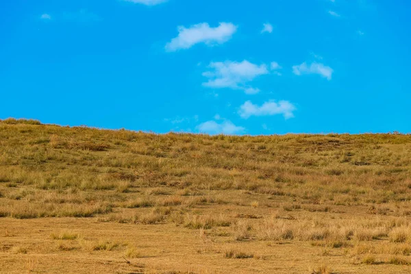 yellow dry grassland yard at wakakusa mountain with blue sky from NARA national park Japan.