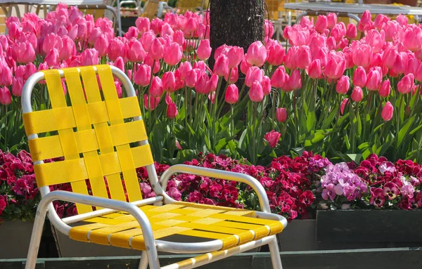 a yellow seat chair with freshness tulip flower field land background.