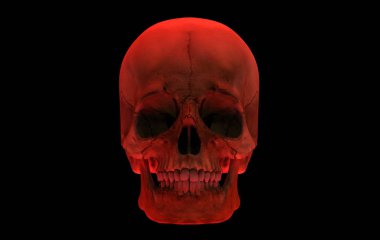 3D görüntüleme. Kızıl insan kafatası kemiği siyah arka planda izole edilmiş. Korku Cadılar Bayramı konsepti.
