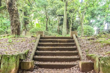 Doğal yeşil parktaki eski kirli beton merdiven..
