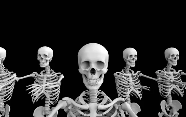 Rendering Fantasma Umano Cranio Scheletro Ossa Fila Squadra Sfondo Nero — Foto Stock