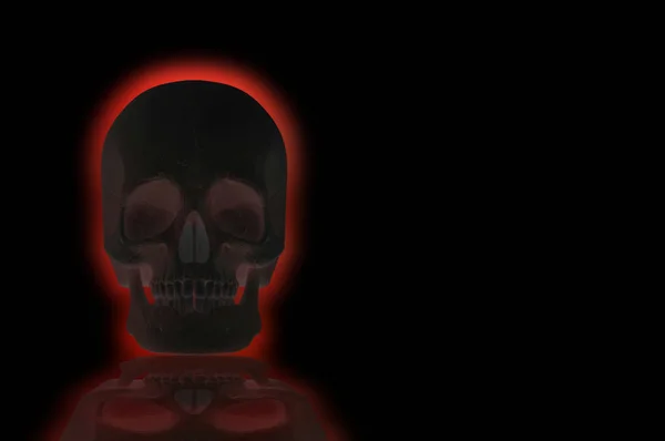 3d rendering. Dark Human Head skull bone with red light on black background. Horror Halloween concept.