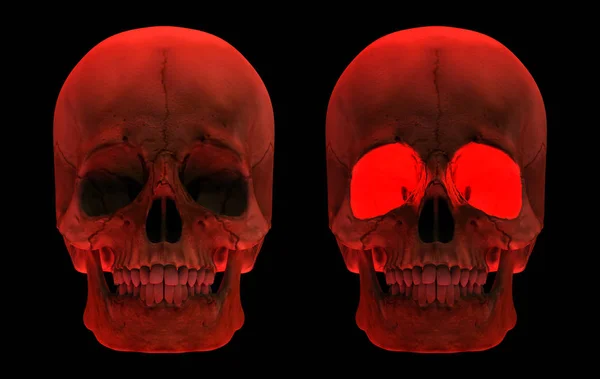 3d rendering. Red Human Head skull bone isolated on black background. Horror Halloween concept.