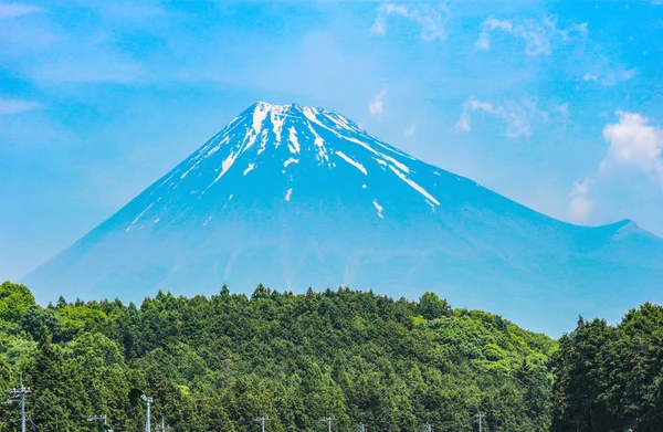 Krásná Hora Fuji Svěží Bio Zelený Čaj Farma Letní Sezóně — Stock fotografie