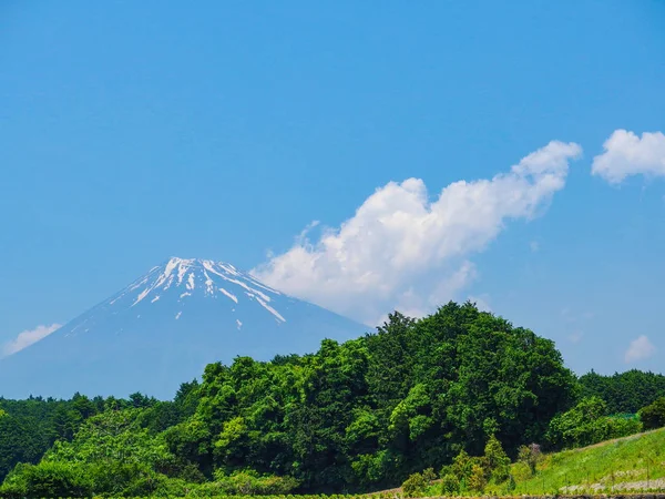 Bela Montanha Fuji Colheita Fresca Orgânico Verde Chá Fazenda Marco — Fotografia de Stock
