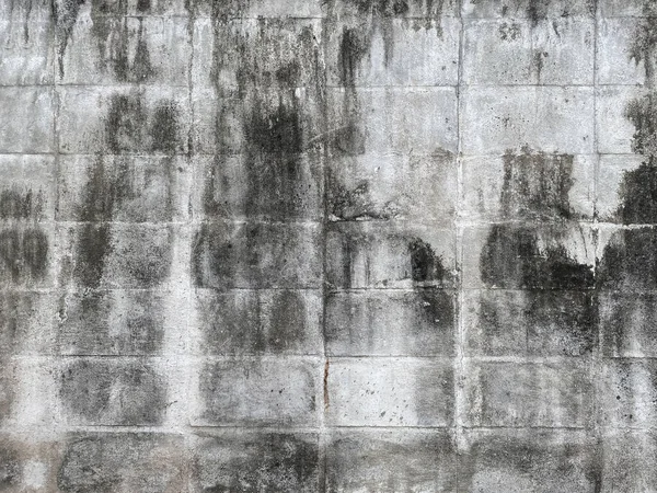 室外湿透了的水泥砖墙背景图 — 图库照片