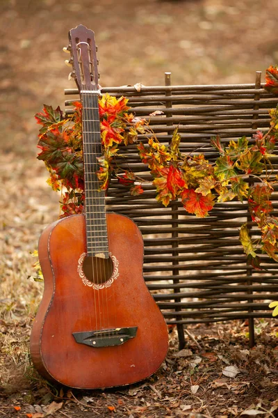 A guitar stands near a wicker fence entwined with autumn leaves.