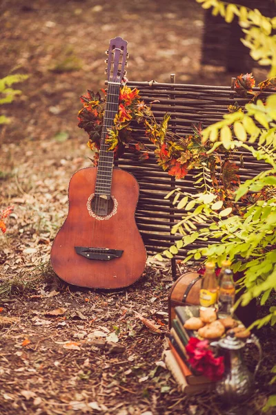 秋天在公园野餐。一把吉他矗立在柳树篱笆旁边，篱笆上挂着秋天的树叶 — 图库照片