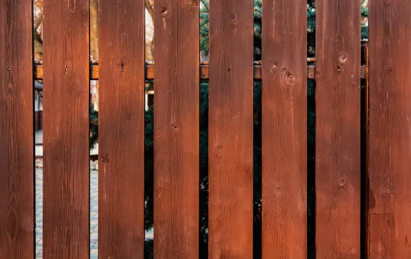 Barna fa függőleges deszka kerítés napfényes — Stock Fotó