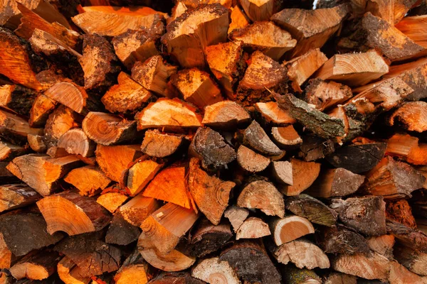 Firewood Background Preparation Firewood Winter Use Cooking Stacks Firewood Sun — Stock Photo, Image