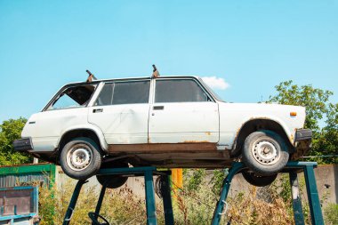 Eski paslı araba bir çöp sahasında metal desteklerin üzerinde duruyor.