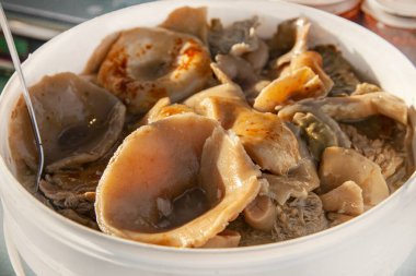 Altai tuzlu mantar gruzd - Fuarda plastik kovada süt mantarı.