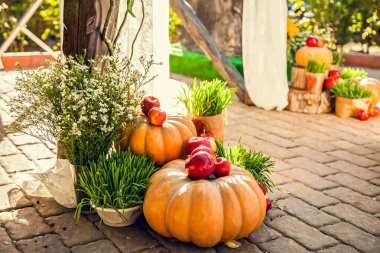 Düğün kemeri, balkabaklarıyla süslenmiş sonbahar düğünü için..