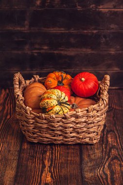 Tahta arka planda farklı türde balkabağı olan sepet..