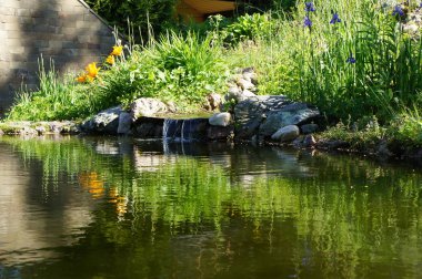 Bir bahçede çiçekler ile Verdurous Şelalesi