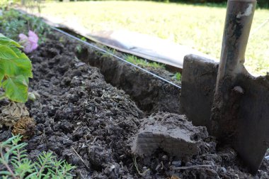 Bir kürek ile çalışmak, bir çiçek yatağı oluşturma  