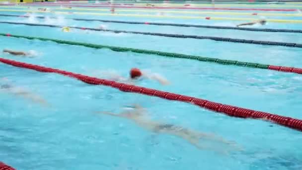 Birçok Kişi Havuzda Yüzmek — Stok video