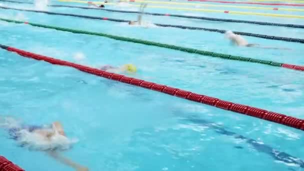 Birçok Kişi Havuzda Yüzmek — Stok video