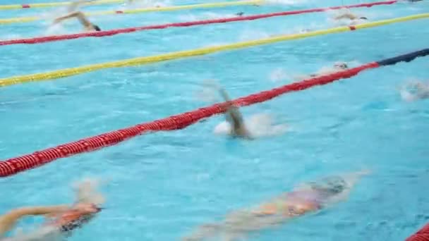 Wielu Ludzi Pływać Basenie — Wideo stockowe