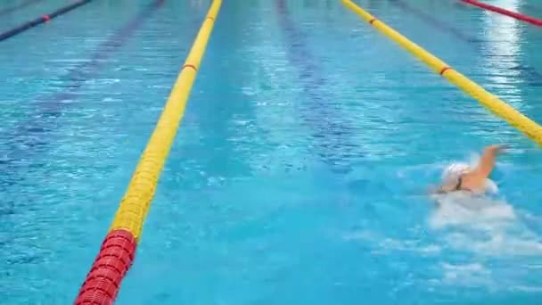 Schwimmwettkämpfe Viele Menschen — Stockvideo