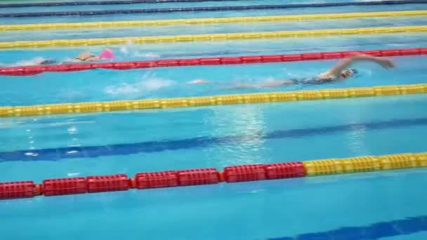 Competições Piscina Muitas Pessoas — Vídeo de Stock