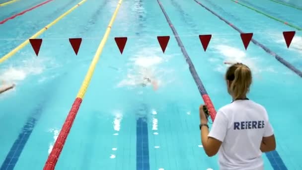 Competições Natação Árbitro Piscina — Vídeo de Stock