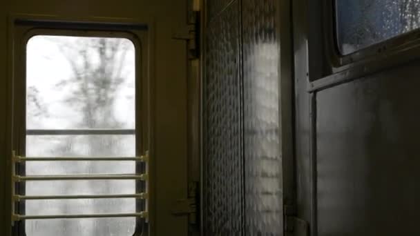 列車の窓からの眺め列車前庭 — ストック動画