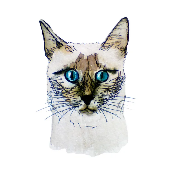 Akvarelu Ilustrace Siamská Kočka — Stock fotografie