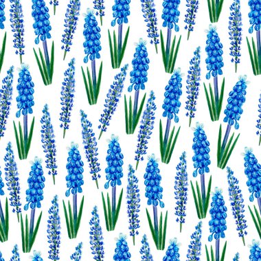 farklı mavi çiçekler, muscari, lupine izole ile suluboya dikişsiz desen