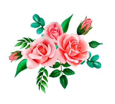 Pembe parlak suluboya kompozisyon, mercan gül ve yaprakları. Düğün davetiyeleri için şablon elle çizilmiş, beyaz izole 