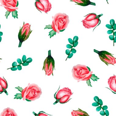 Gül ve okaliptüs beyaz izole suluboya çiçek deseni