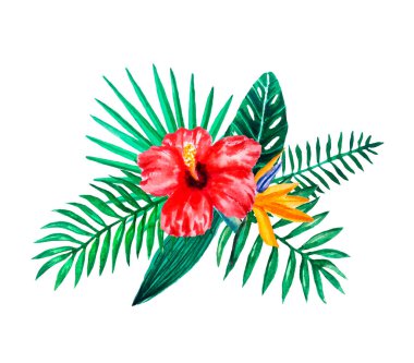 Suluboya el tropik çiçekler, yapraklar ve bitkiler boyalı ayarlayın. Parlak orman egzotik bouqoet yaz düğün davetiyesi ve parti kartı yapımı için mükemmel