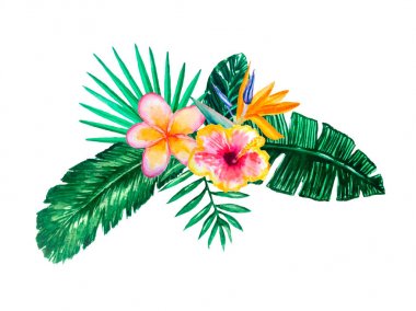 Suluboya el tropik çiçekler, yapraklar ve bitkiler boyalı ayarlayın. Parlak orman egzotik bouqoet yaz düğün davetiyesi ve parti kartı yapımı için mükemmel