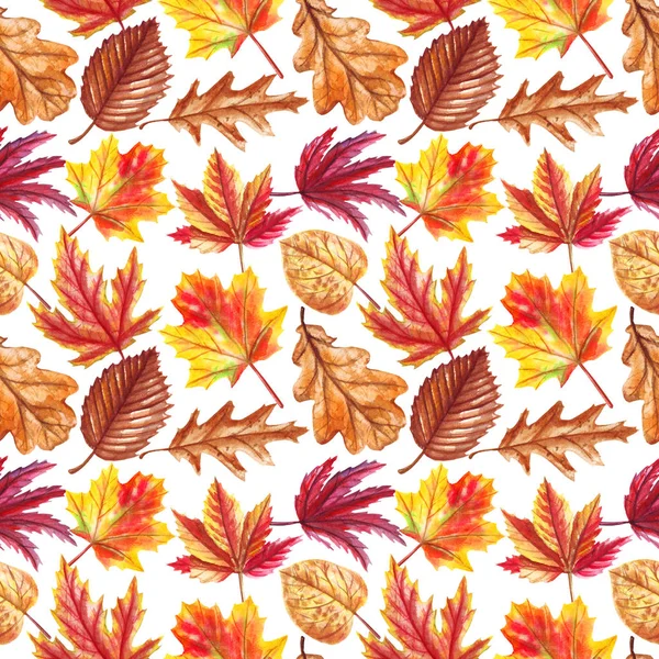 Akwarela jesień bezszwowe wzór z opadłych liści odizolowanych na białym tle. — Zdjęcie stockowe
