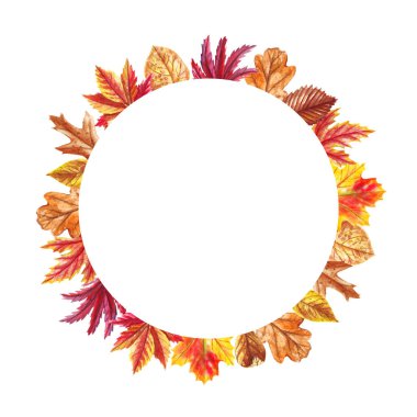 Suluboya sonbahar beyaz arka plan üzerinde izole çerçeve bırakır. Kartlar için botanik kompozisyon, düğün davetiyeleri, çiçek posteri