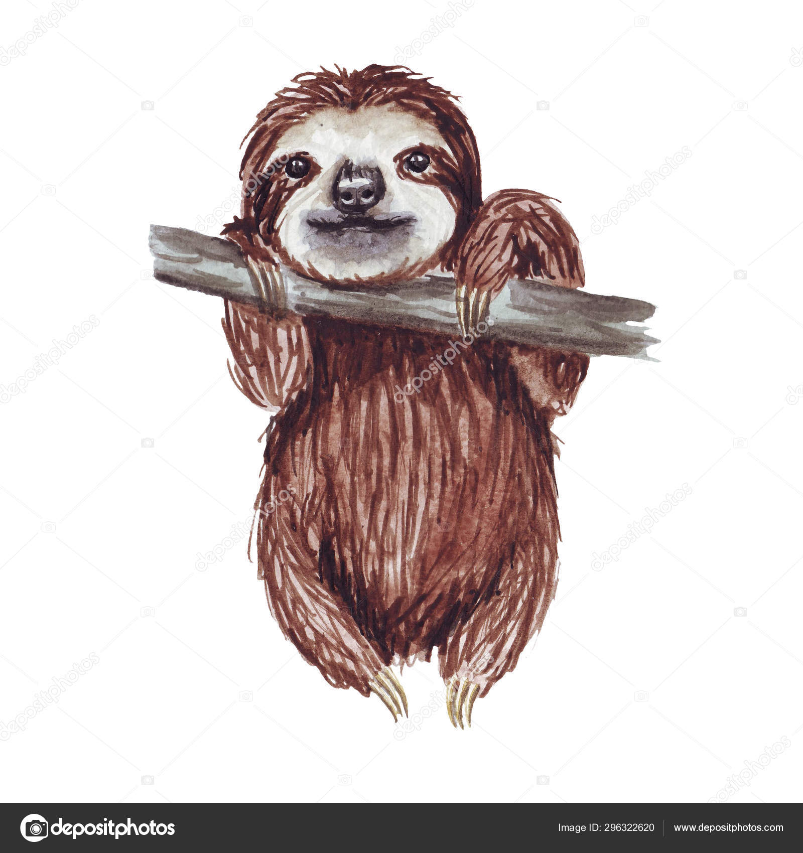 Watercolor Hand Painted Cute Sloth Hanging On The Tree Cartoon Little Baby Animal Illustration In Lazy Style Isolated Simple Character For Greeting Card Invites Poster Banner Print Nursery Stock Photo Image Watercolor Hand Painted Cute Sloth Hanging On The Tree Cartoon Little Baby Animal Illustration In Lazy Style Isolated Simple Character For Greeting Card Invites Poster Banner Print Nursery Stock Photo Image