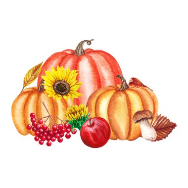 Mantar, ayçiçeği, kabak, elma, viburnum ile suluboya sonbahar kartı, beyaz izole yaprakları. Tebrik kartları, düğün davetiyeleri, çiçek afişi ve süslemeleri için botanik kompozisyon.