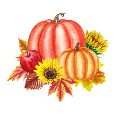 Ayçiçeği, kabak, elma, viburnum ile suluboya sonbahar kartı, beyaz izole yaprakları. Tebrik kartları, düğün davetiyeleri, çiçek afişi ve süslemeleri için botanik kompozisyon.