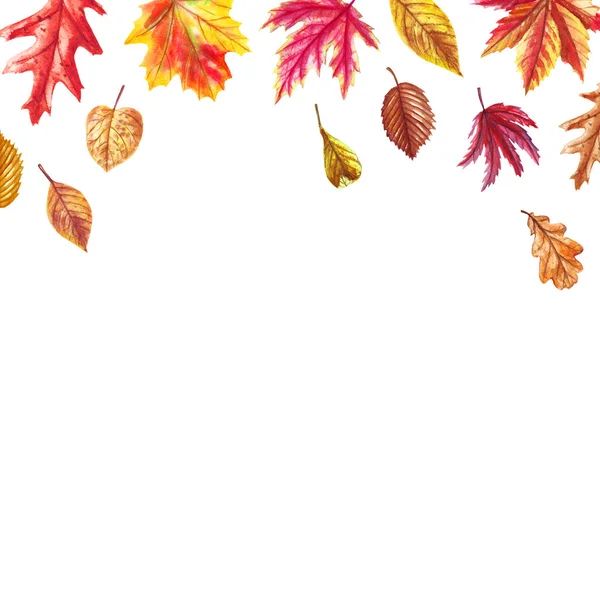 Akwarela Jesienna karta z opadłych liści odizolowanych na białym tle. Kompozycja botaniczne dla kart okolicznościowych, zaproszenia ślubne, plakat kwiatowy i dekoracje. — Zdjęcie stockowe