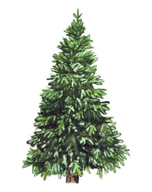 Beyaz arka planda suluboya yeşil Noel ağacı. Baskılar, kartlar için yalıtılmış el çizilmiş elemanlar