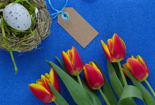 Easter composition on blue glitter background with tulips and egg in nest