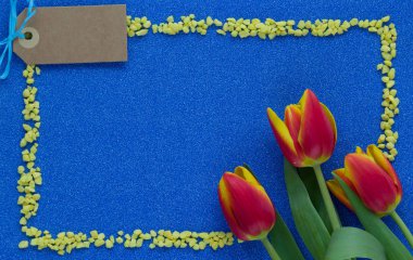 Kopya alanı mavi parlak zemin üzerine kırmızı ve Sarı Lale