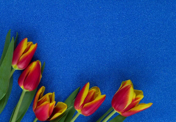 Rote Und Gelbe Tulpen Auf Blauem Glitzerhintergrund Mit Kopierraum — Stockfoto