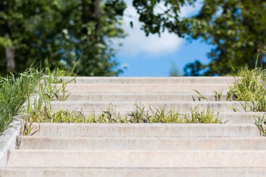 Beton merdiven yeşil çim ile büyümüş Şehir Parkı