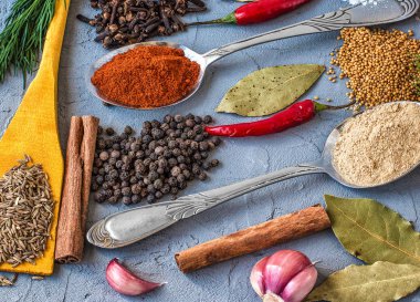 Gri arka plan üzerinde ahşap ve metall kaşık farklı baharatlar. Makro. Yakından kapatın. Üstte görüntü