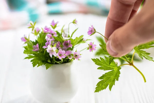 Flores roxas em miniatura em um vaso branco em uma mesa branca — Fotografia de Stock