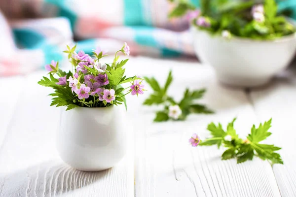 Flores roxas em miniatura em um vaso branco em uma mesa branca — Fotografia de Stock