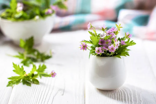 Flores roxas em miniatura em um vaso branco em uma mesa branca — Fotografia de Stock